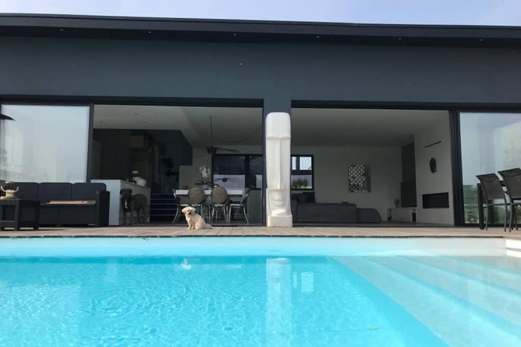 Le Luxury Apartment Sene Exterior photo